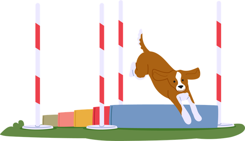 Cachorro demonstrando habilidades de salto  Ilustração