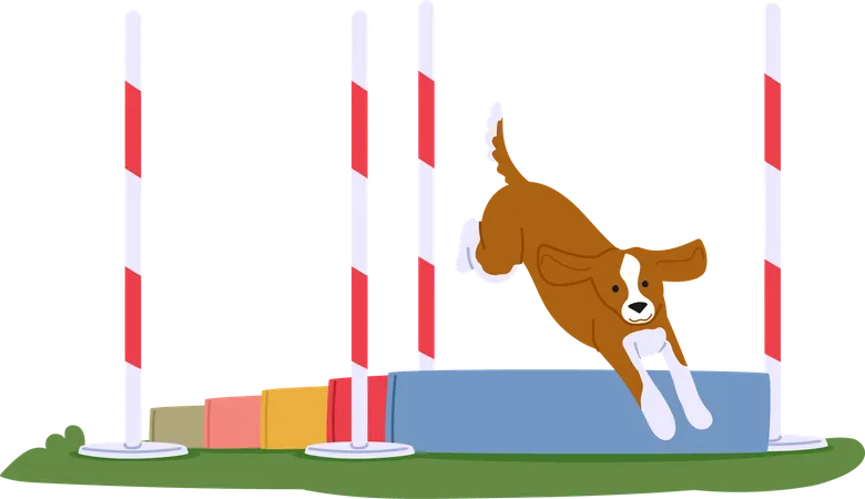 Cachorro demonstrando habilidades de salto  Ilustração