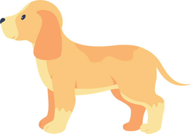 Cachorro labrador  Ilustração