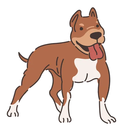 Cachorro pitbull  Ilustração