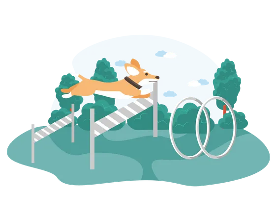 Cachorro pulando obstáculos no trato  Ilustração