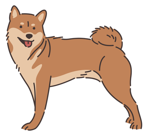 Cachorro Shiba Inu  Ilustração