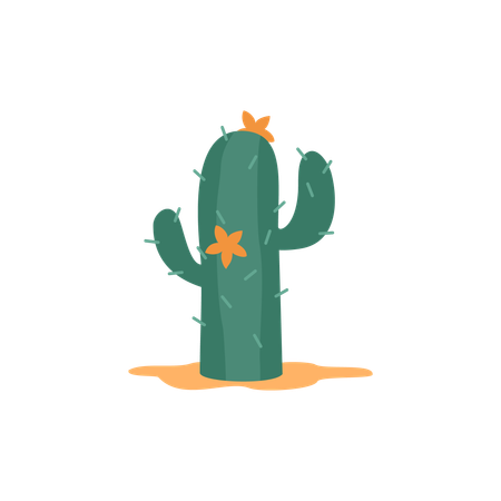 Cactus growing at desert  Illustration