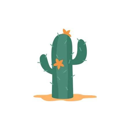 Cactus growing at desert  Illustration