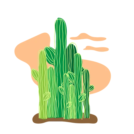 Cactus on sahara desert  Illustration