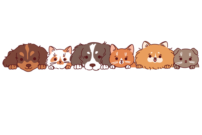 Cães e gatos de diferentes raças  Ilustração