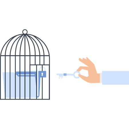 Cage de déverrouillage à clé avec dossier verrouillé, symbole d'accès et de sécurité  Illustration