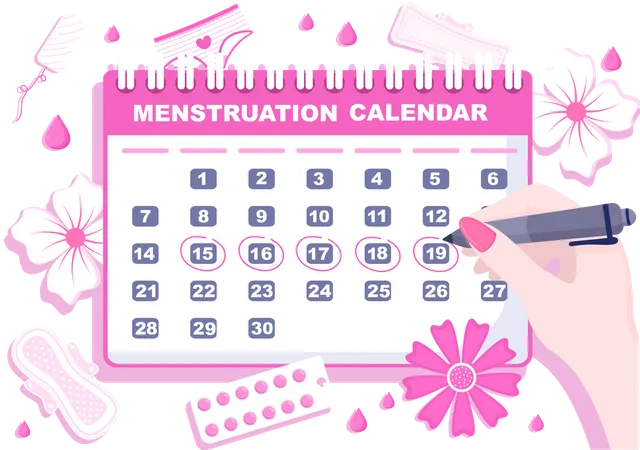 Calendario del período de menstruación  Ilustración