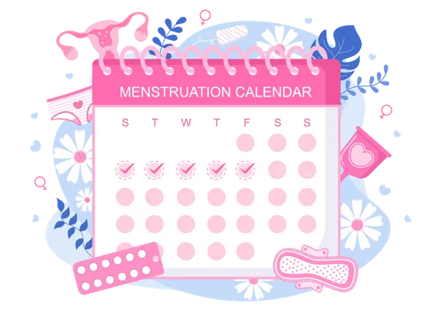 Calendário menstrual  Ilustração