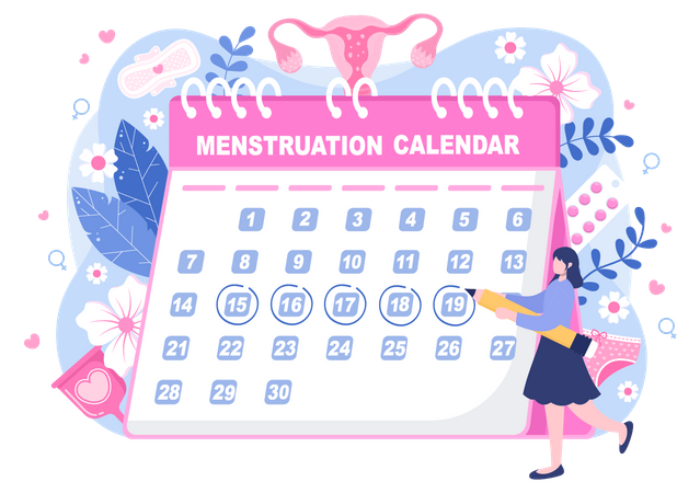 Calendário menstrual  Ilustração
