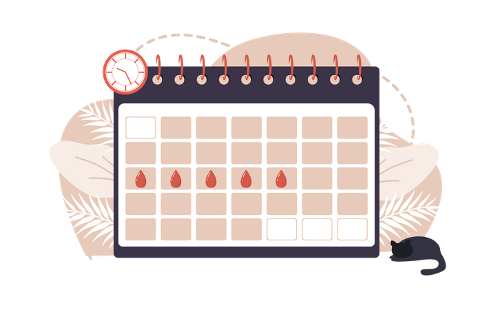 Calendário menstrual  Ilustração