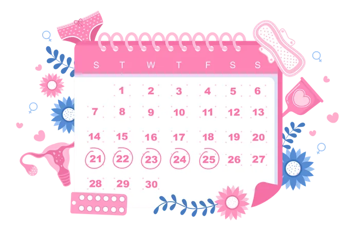 Calendario de periodo  Ilustración