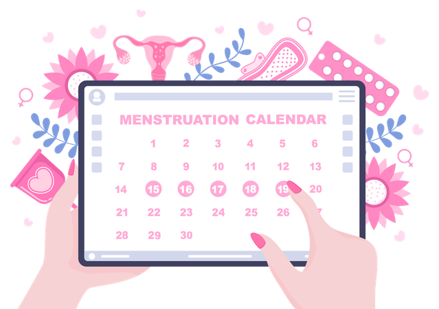 Calendrier des périodes menstruelles  Illustration