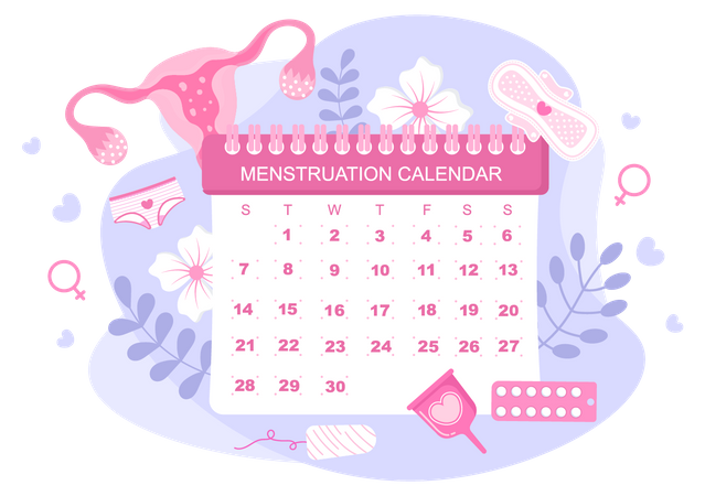 Calendrier menstruel  Illustration