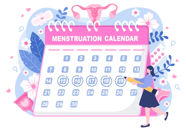 Calendrier menstruel  Illustration