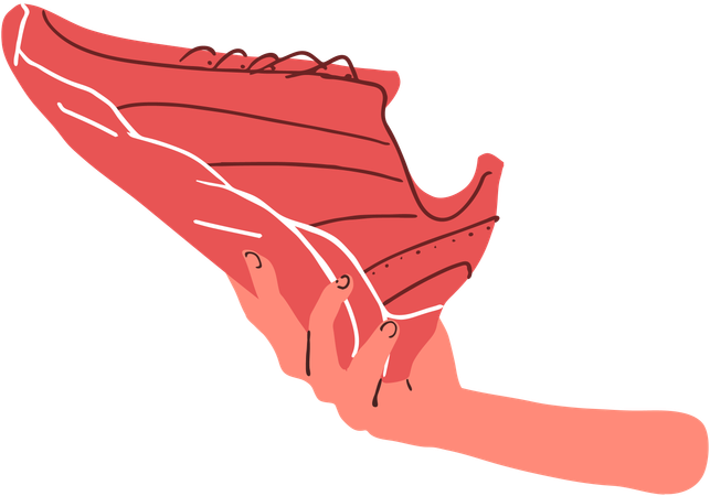 Calzado  Illustration