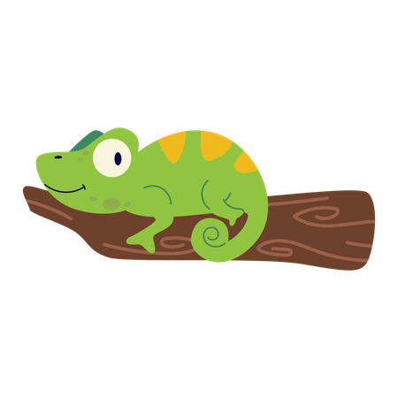 Camaleón  Ilustración