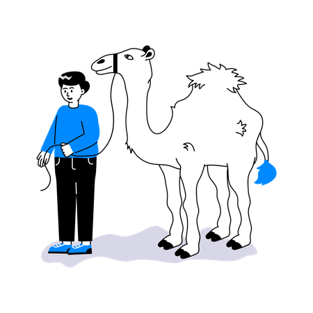 Camel care  Illustration