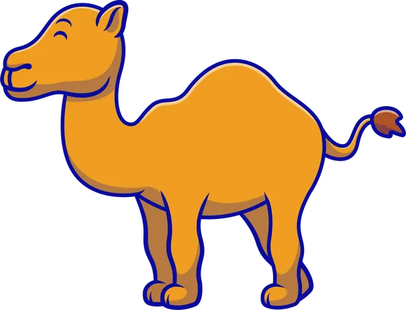 Camel  Illustration