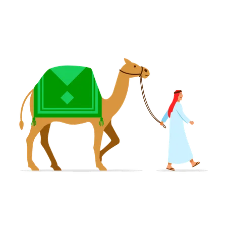Camel Rider  Illustration