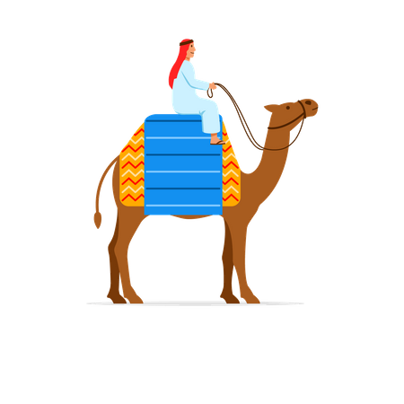 Camel Rider  Illustration