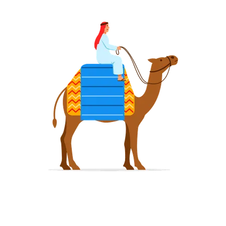 Camel Rider  Illustration