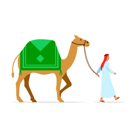 Camel Rider  Illustration