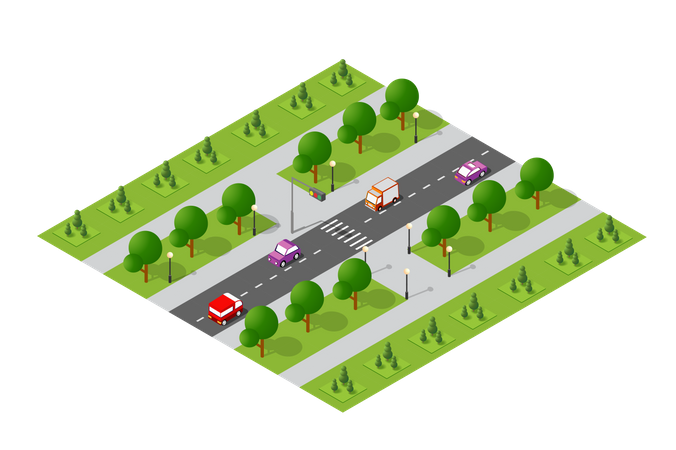 Camino  Illustration