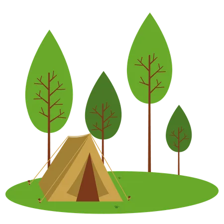 Camp Site  Illustration