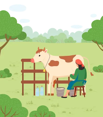 La agricultora recogiendo leche  Ilustración