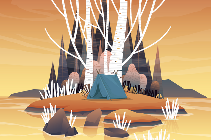 Camping en zone forestière  Illustration