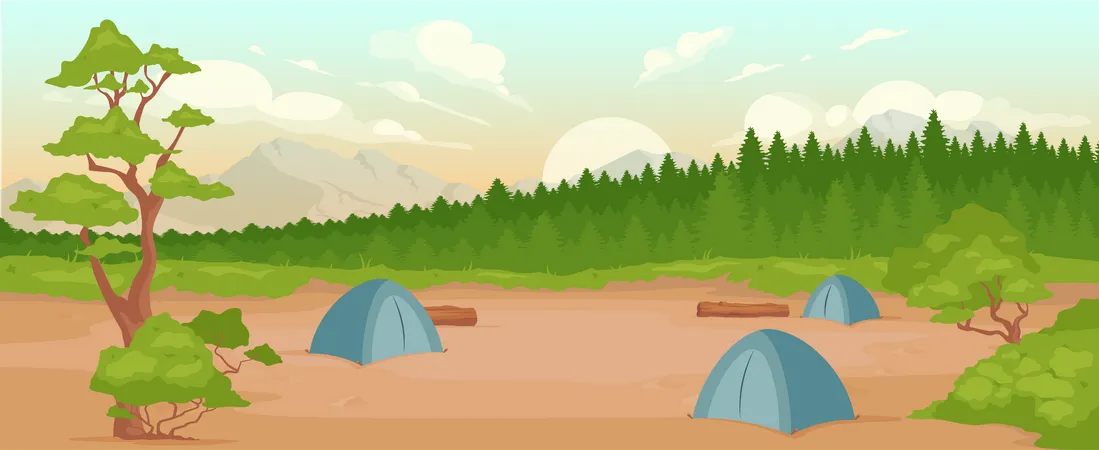 Camping  Illustration