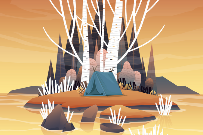 Camping in forest area  Illustration