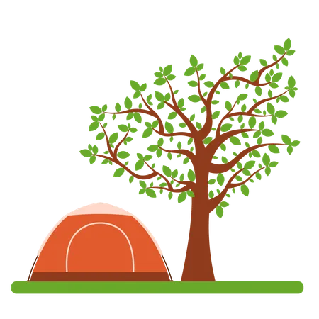 Camping Tent  Illustration