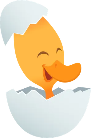 Canard diverses poses  Illustration