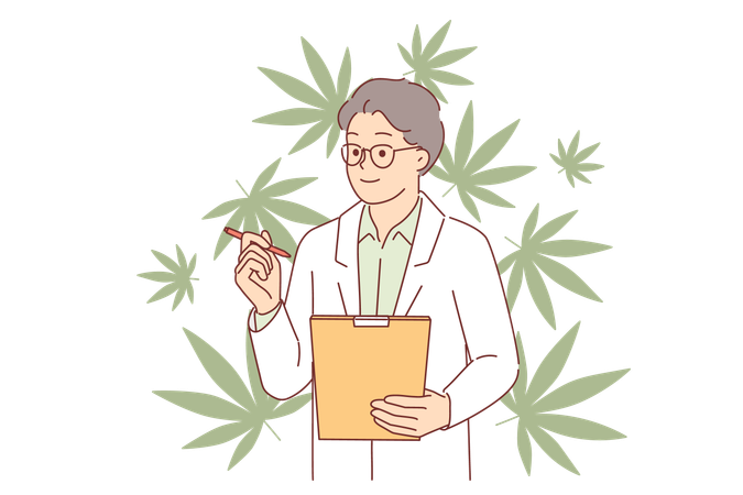 Cannabis legalization examined by man doctor in coat using clipboard for scientific experiments  Illustration