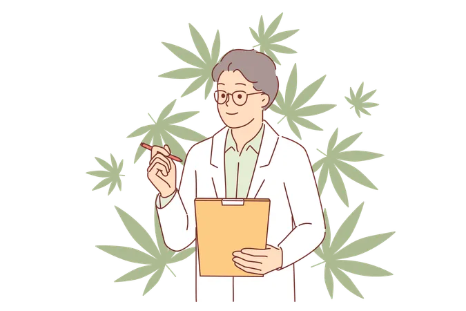 Cannabis Legalization Is Examined By Man Doctor In White Coat Using Clipboard For Scientific Experiments Scientist Stands Near Cannabis Or Marijuana Petals Used To Treat Post Traumatic Syndrome Illustration