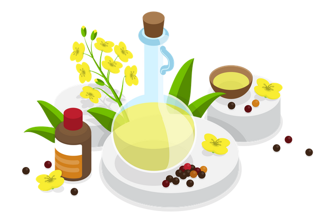 Canola Oil, Natural and Healthy Nutrition  Illustration