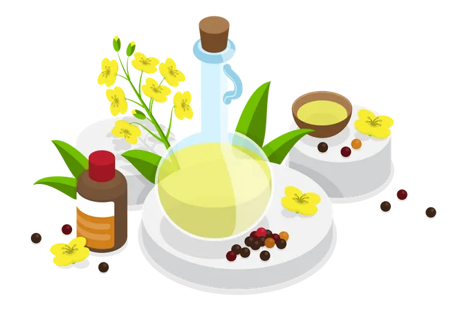 Canola Oil, Natural and Healthy Nutrition  Illustration