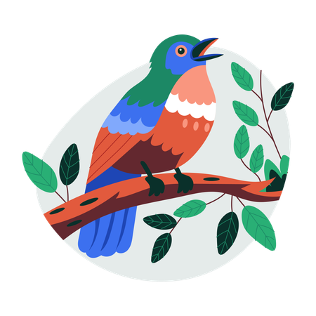 Canto de pájaros  Ilustración