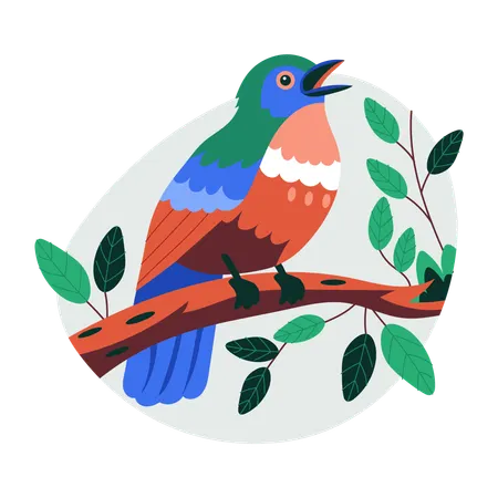 Canto de pájaros  Ilustración