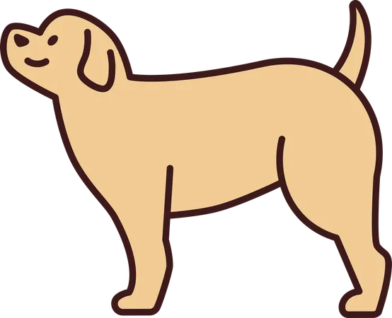 Cachorro  Ilustração