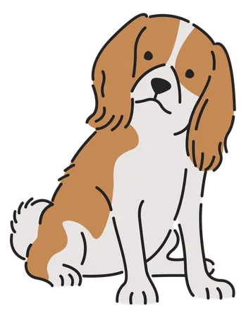 Cachorro cavalier spaniel  Ilustração
