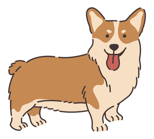 Cachorro corgi galês  Ilustração