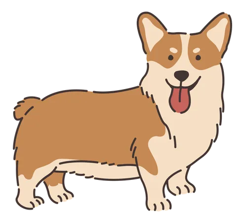 Cachorro corgi galês  Ilustração