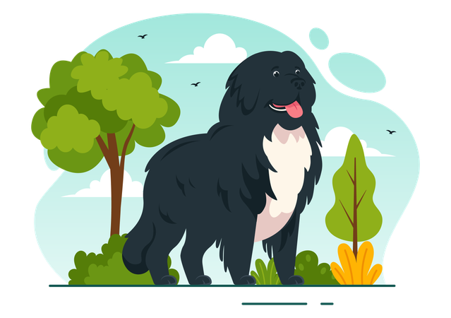 Cão da Terra Nova  Ilustração