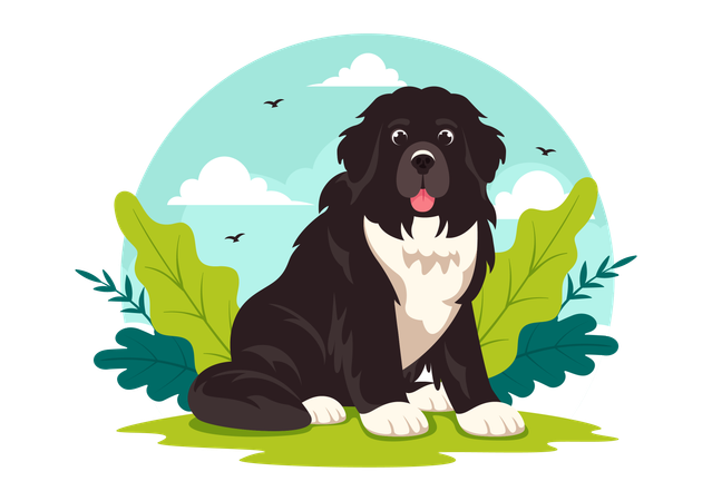 Cão da Terra Nova  Ilustração