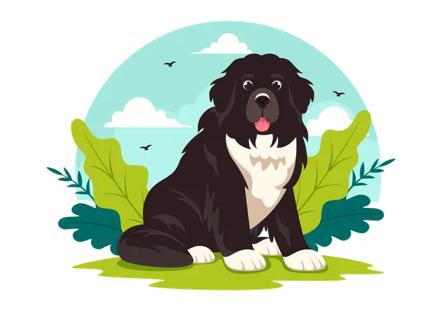 Cão da Terra Nova  Ilustração