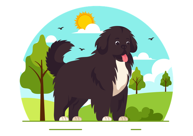 Cão da Terra Nova  Ilustração