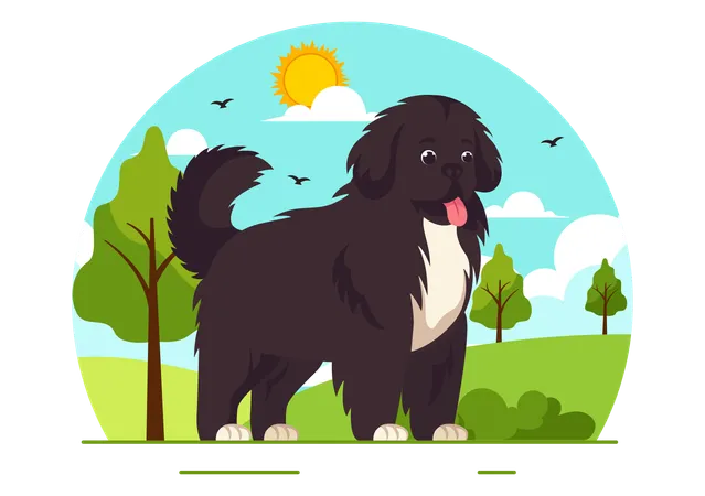 Cão da Terra Nova  Ilustração